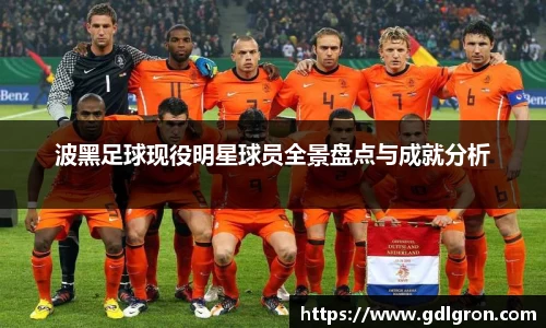 波黑足球现役明星球员全景盘点与成就分析