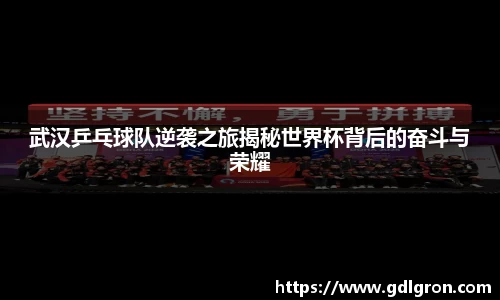 武汉乒乓球队逆袭之旅揭秘世界杯背后的奋斗与荣耀