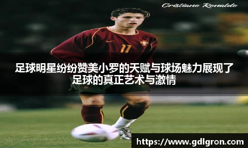 足球明星纷纷赞美小罗的天赋与球场魅力展现了足球的真正艺术与激情